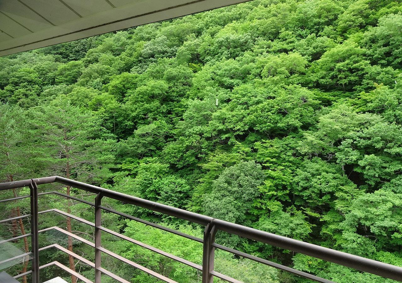 Hotel Yunishigawa Nikko Exterior photo